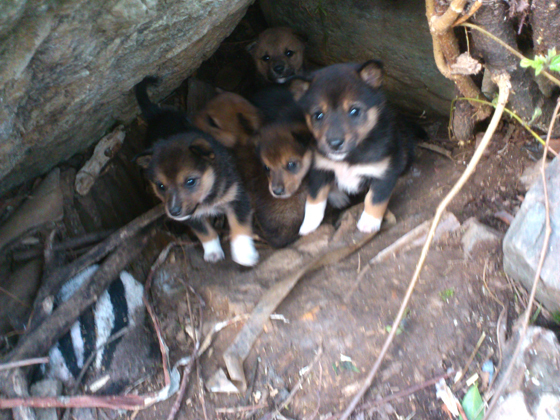 DSC_0147-thumbnail2.jpg