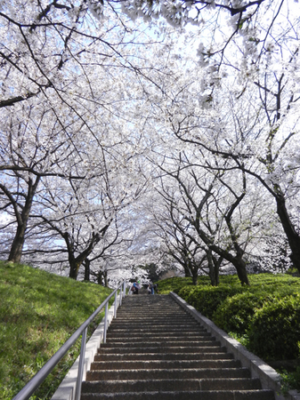 画像 126.jpg