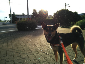 IMG_20150720_181044.jpg