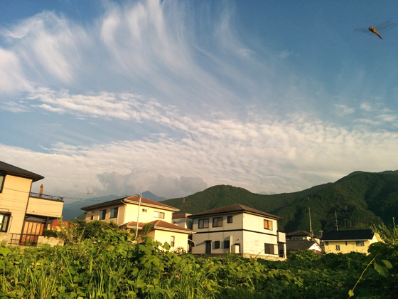 IMG_20150814_175050.jpg