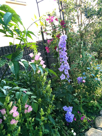 IMG_20160521_173712.jpg