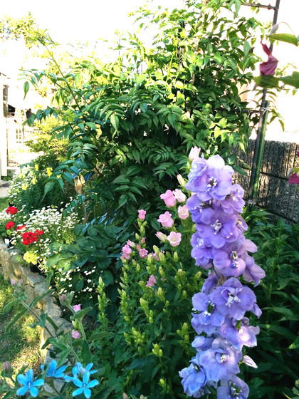 IMG_20160521_173730.jpg