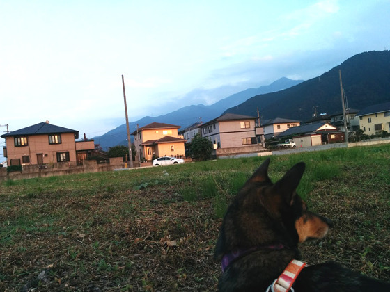 IMG_20161018_170454.jpg