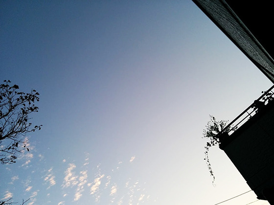IMG_20161027_171425.jpg