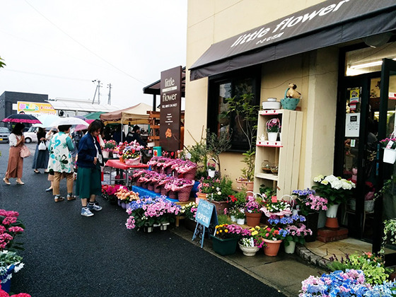 IMG_20180513_101440.jpg