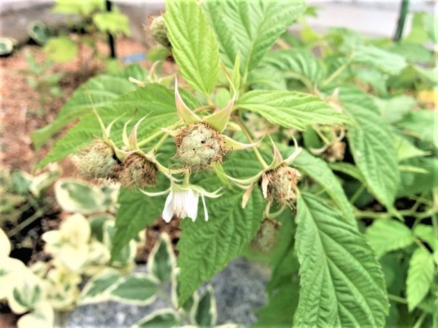 IMG_20180628_174842.jpg