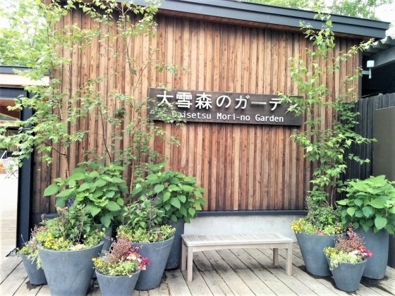 IMG_20180704_150920.jpg