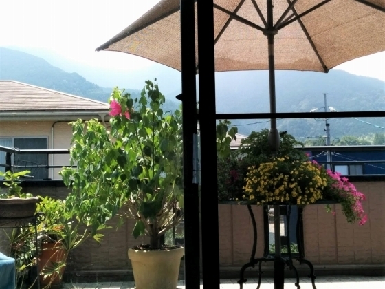 IMG_20180803_120001.jpg