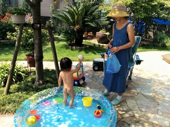 IMG_20180804_103219.jpg