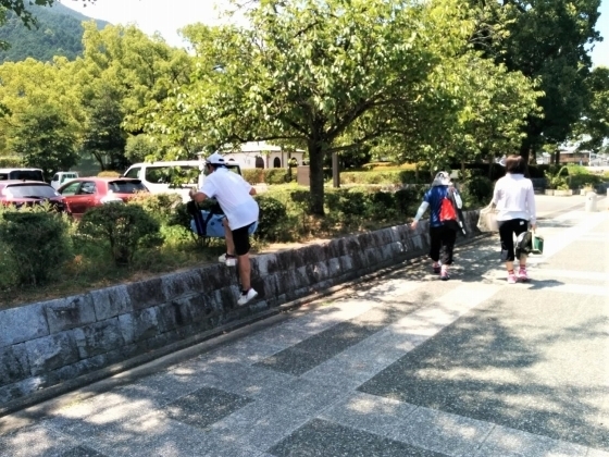 IMG_20180808_115650.jpg