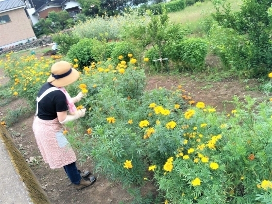 IMG_20180820_170518-thumbnail2.jpg