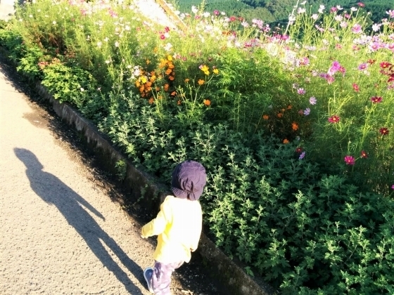 IMG_20180927_162004.jpg