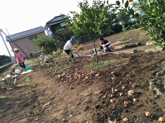 IMG_20181108_144012.jpg