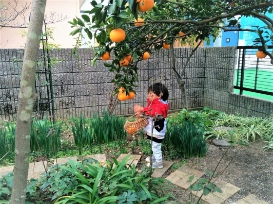 IMG_20190105_134457.jpg