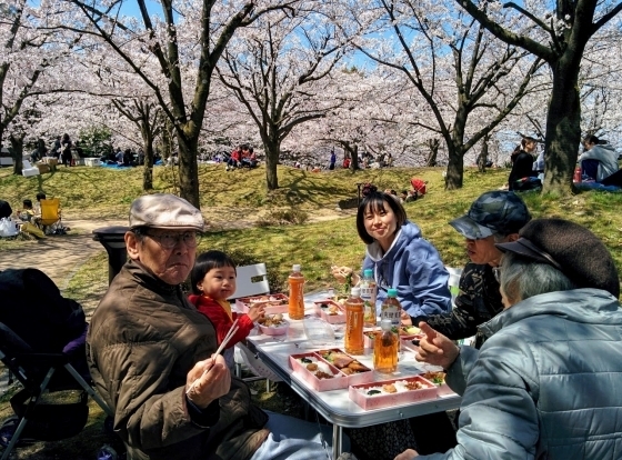 IMG_20190403_123451.jpg