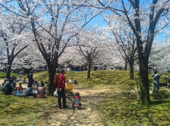 IMG_20190403_125701.jpg