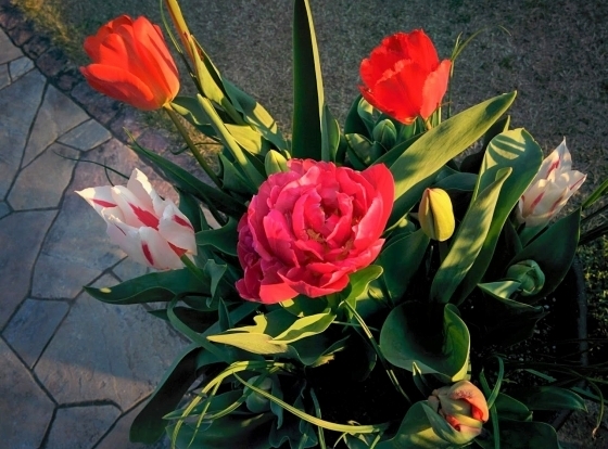IMG_20190403_174708.jpg