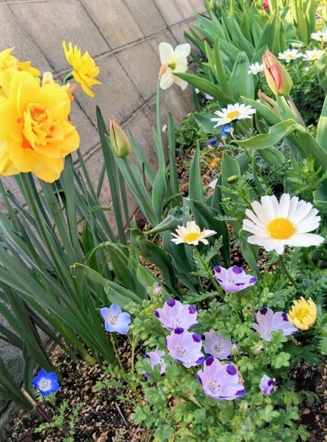 IMG_20190407_105519.jpg