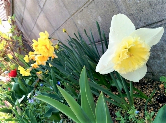 IMG_20190407_105601.jpg