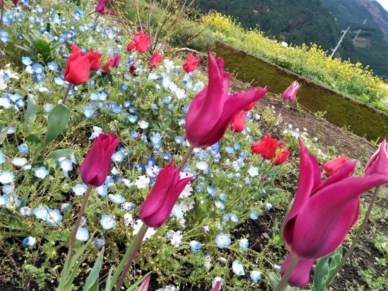 IMG_20190411_172705.jpg