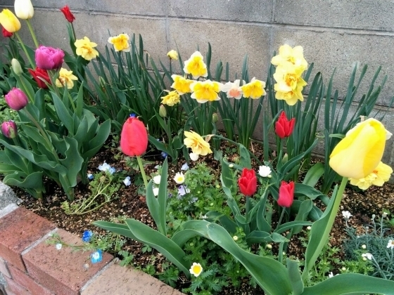 IMG_20190411_173545.jpg