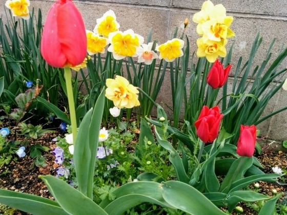 IMG_20190411_173603.jpg