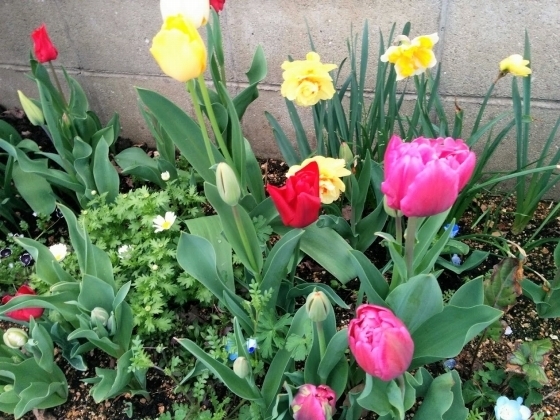 IMG_20190411_173622.jpg