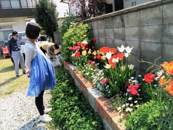 IMG_20190421_103556.jpg