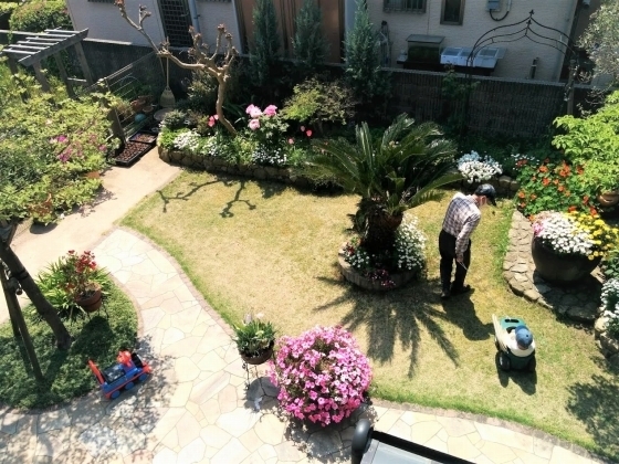 IMG_20190422_111105.jpg