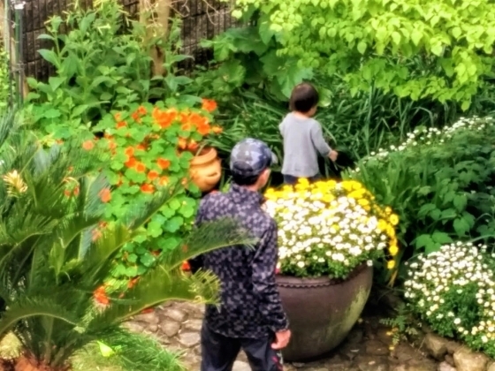 IMG_20190425_100518.jpg