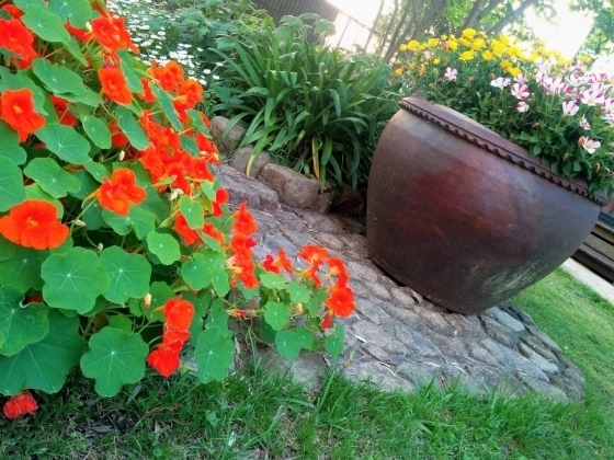 IMG_20190503_181621.jpg