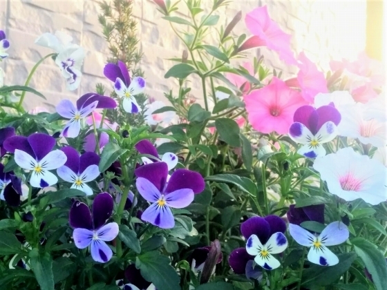 IMG_20190504_174835.jpg