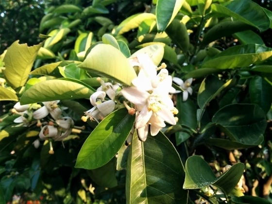 IMG_20190515_180012.jpg