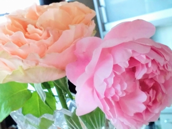 IMG_20190527_072555.jpg