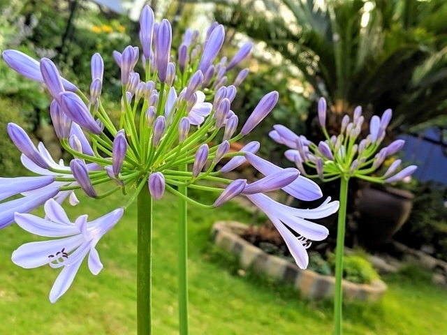 IMG_20190620_175825.jpg