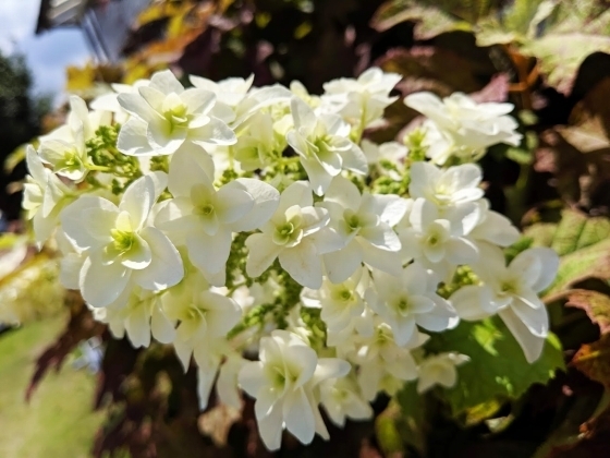 IMG_20190624_104145.jpg