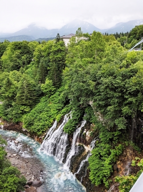 IMG_20190704_160639.jpg