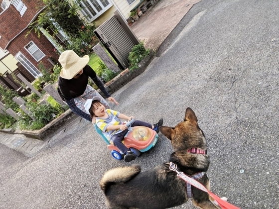 IMG_20190809_174204.jpg