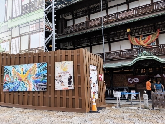 IMG_20190827_155136.jpg