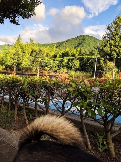 IMG_20190907_174145_1.jpg