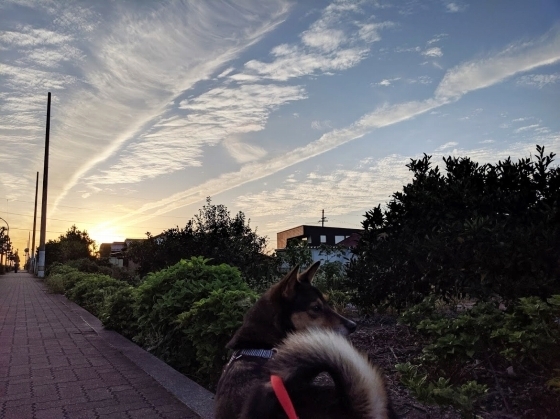IMG_20190919_175058.jpg
