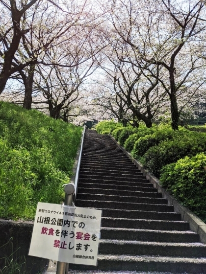 IMG_20200408_104708.jpg