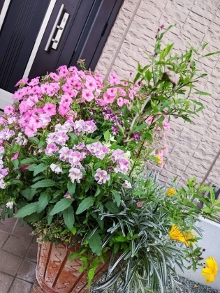 IMG_20200517_171820.jpg