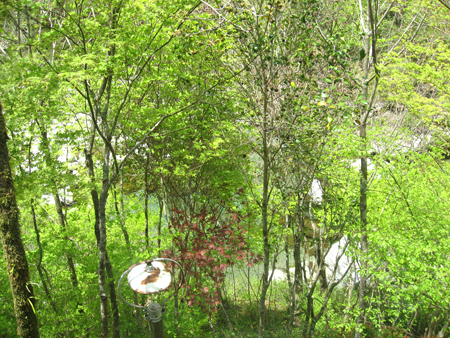IMG_6916.JPG