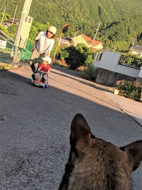 MVIMG_20190612_181633.jpg