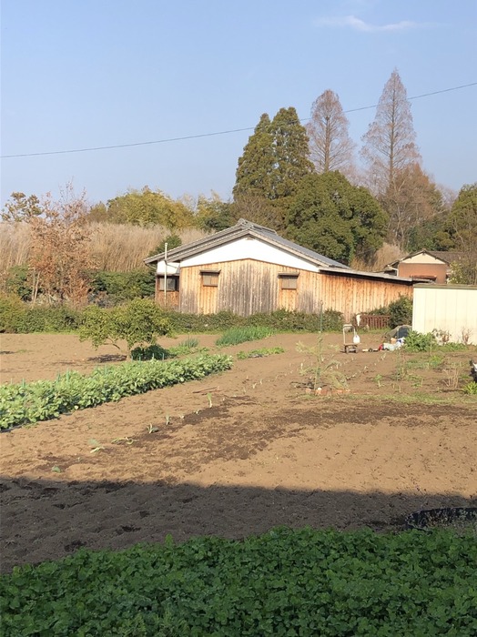 S__31072263.jpg