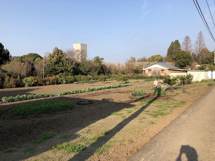 S__31072264.jpg