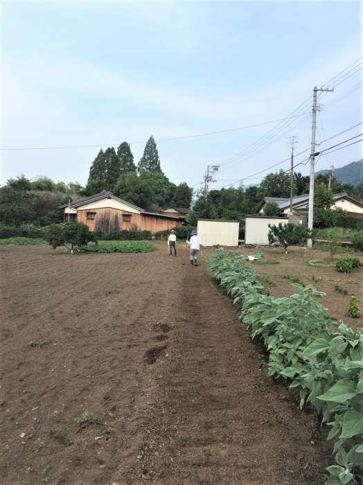 S__57327624.jpg
