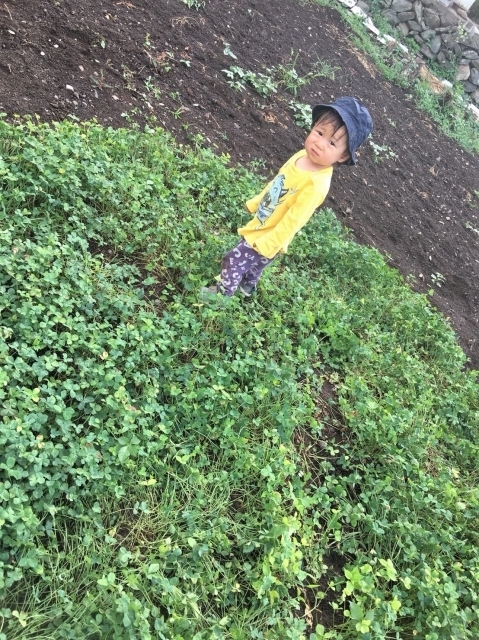 S__60833794.jpg