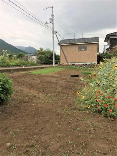 S__63815687.jpg